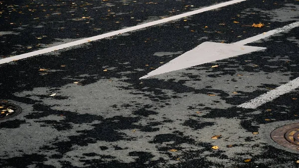 Marcas Carretera Blancas Con Flecha Dirección Asfalto Negro Con Follaje —  Fotos de Stock