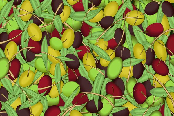 Colored olives, leaves and branches. Sample. Close-up. Multi-colored background image. Vector illustration.