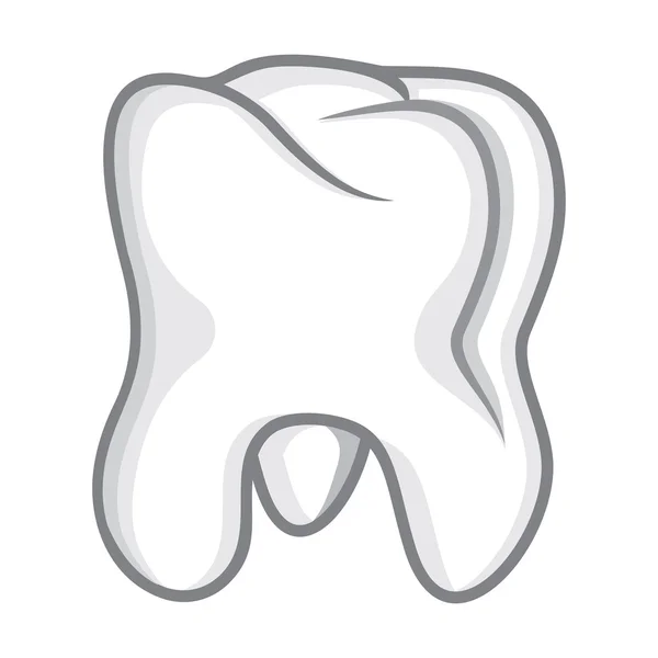 Isolado de dente em branco —  Vetores de Stock