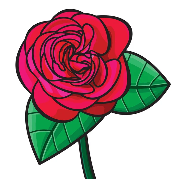 Red rose illustration — Stock Vector