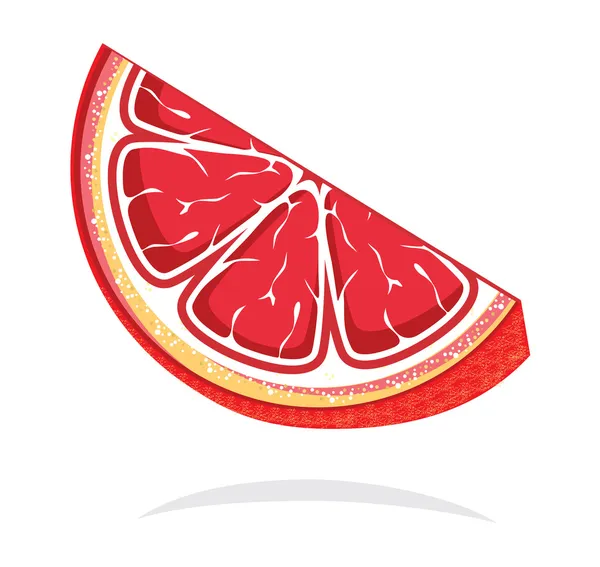 Grapefruity plátek izolované na bílém — Stockový vektor