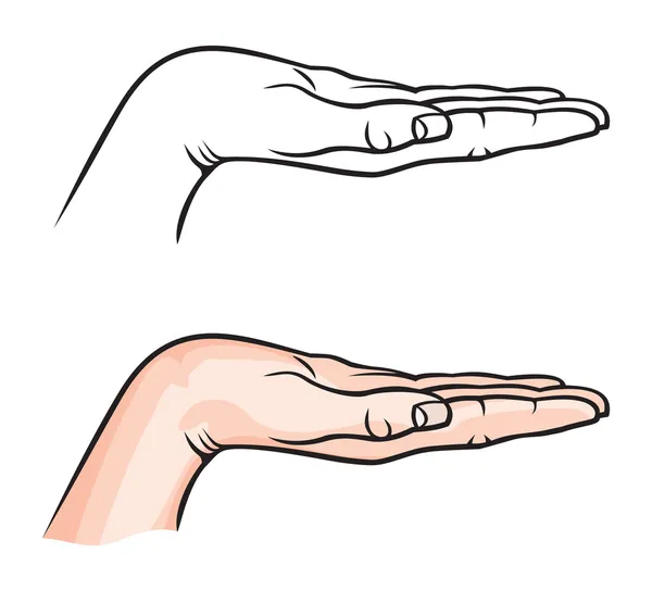 Vrouwelijke vrouw hand bedrijf — Stockvector