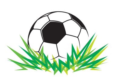 Futbol topu