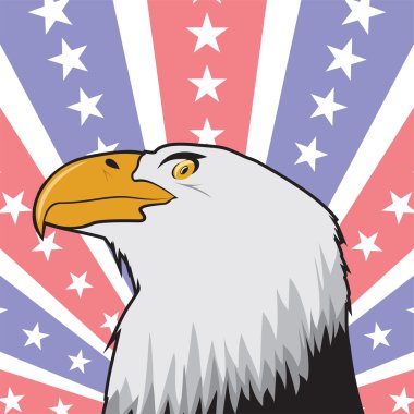Amerikan kel kartal