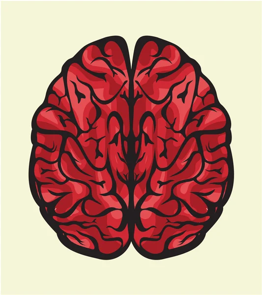 Människans hjärna — Stock vektor