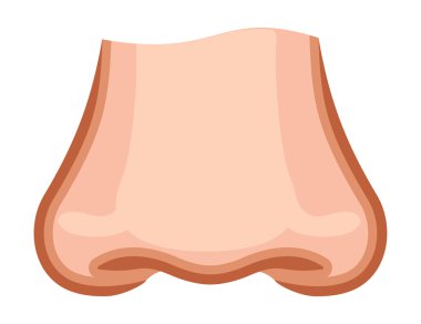 Çocuk burun