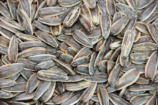 Небольшие Натуральные Семена Подсолнечника — стоковое фото