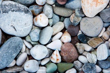 çok renkli deniz taşları ve beyaz deniz kabukları