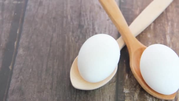 殻の固い白い鶏の卵 — ストック動画
