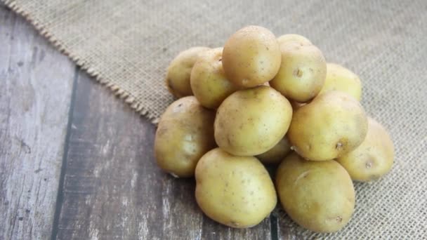 Ronde Vruchten Van Natuurlijke Gele Aardappelen — Stockvideo
