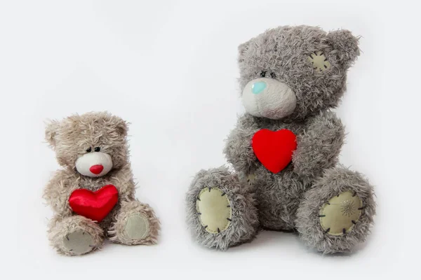 Toy Fluffy Bear Holding Red Heart — Stock Photo, Image