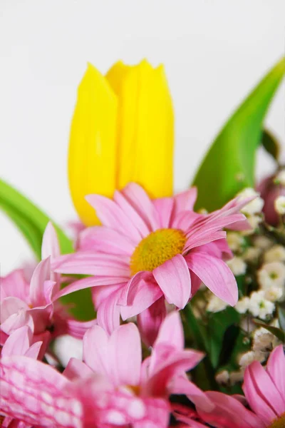 Flowers Pink Chrysanthemum Yellow Tulip — Zdjęcie stockowe