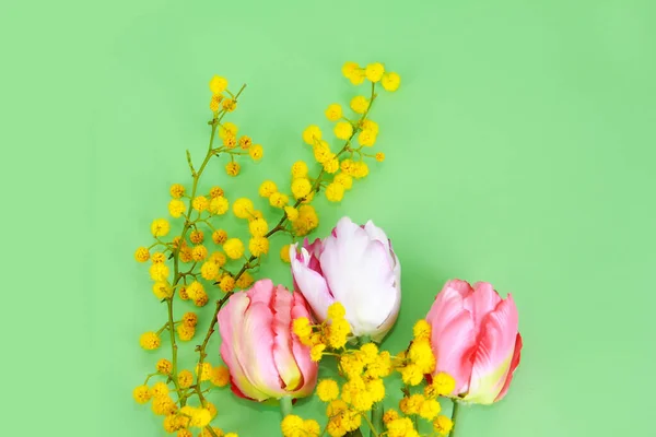Tulipanes Rosados Mimosa Amarilla — Foto de Stock
