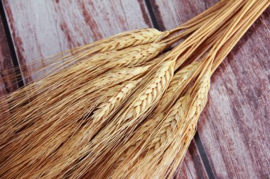 Buğday taneli uzun sarı kuru kulaklar