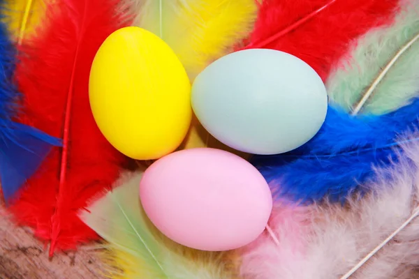 Huevos Pascua Festivos Plumas Aves Colores — Foto de Stock