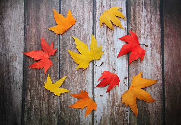 Suché Podzimní Javor Pestrobarevné Červené Oranžové Žluté Listy Dřevěném Pozadí — Stock fotografie