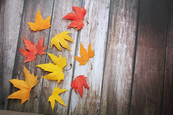 Foglie Acero Rosso Giallo Arancio Multicolore Fondo Legno — Foto Stock