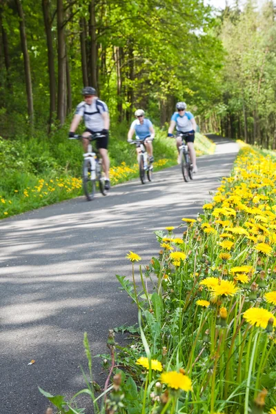 bir grup insan Bisiklet