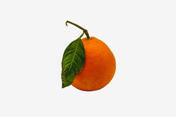 Gorgeous Juicy Tangerine Green Leaves White Background — Stock Photo, Image