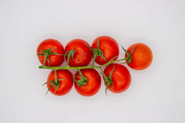 Cherry Tomatoes Branch Stand White Background Isolated Image — Stock Photo, Image
