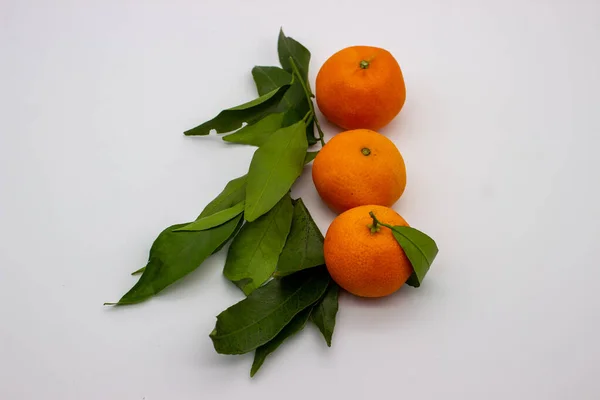 Três Tangerinas Maduras Com Folhas Verdes Sobre Fundo Branco — Fotografia de Stock