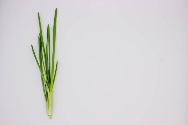 Beyaz arka planda yeşil soğan. İzole edilmiş resim