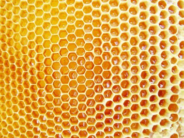 Çerçevedeki bal arılar tarafından toplanır.