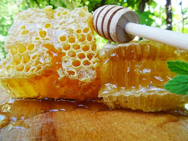 The honey in the frame is collected by bees