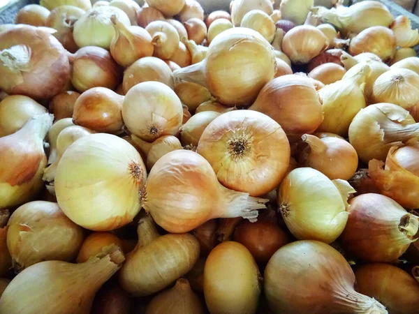 Onions Cooking Harvested Crop — Stok fotoğraf