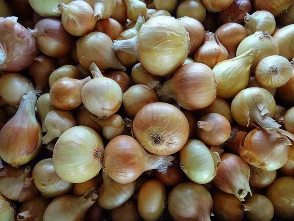 Onions Cooking Harvested Crop — Stok fotoğraf