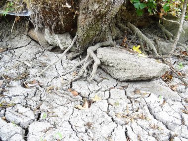 Tarladaki kuru toprak, küresel ısınmanın sonuçları, topraktaki çatlaklar.