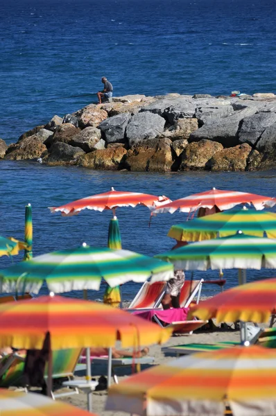 Zomer kleuren — Stockfoto