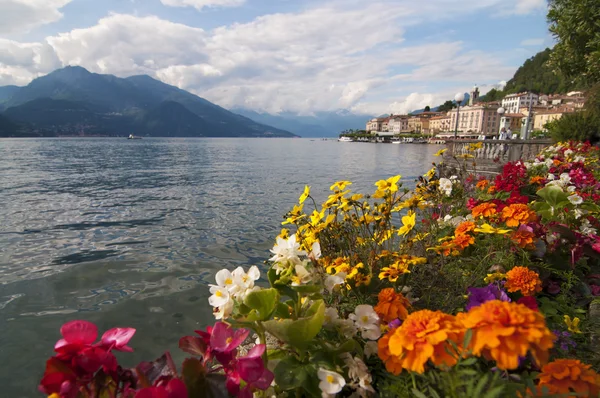 çiçekler ve peyzaj