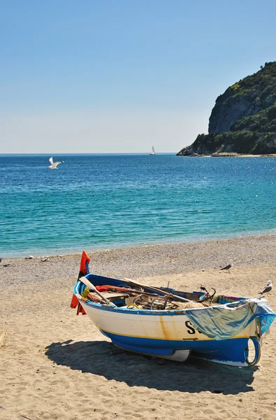 Martılar tekne üzerinde