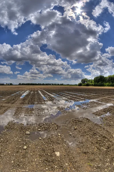 Wet country — Stock Photo, Image