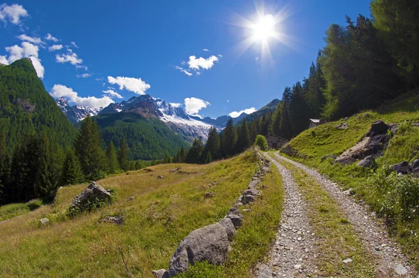 Sentier dans la vallée — Photo