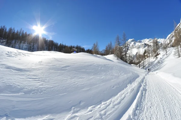 Winter trail — Stock Photo, Image