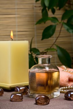 Spa ve vücut bakımı