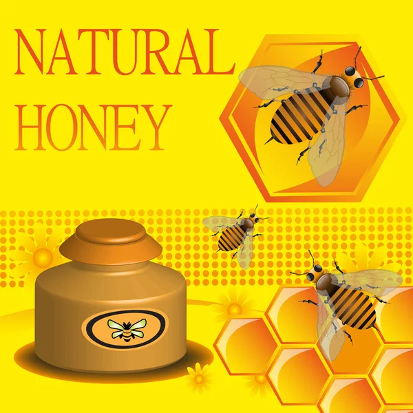 Natural honey — Stock Vector