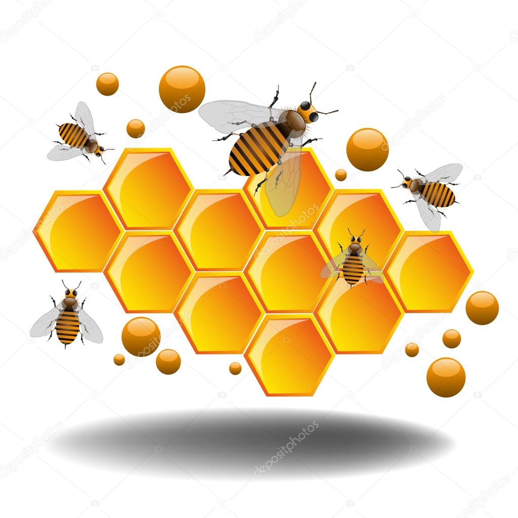 Bees