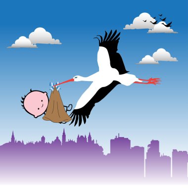 Leylek bebek taşıma