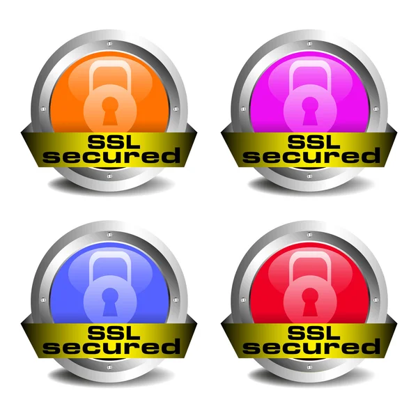 Iconos protegidos SSL — Vector de stock