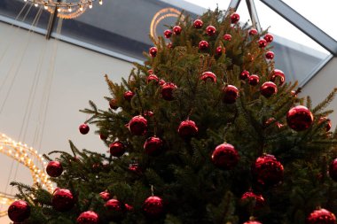 Yakın plan, kırmızı topları olan yeşil Noel ağacı