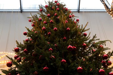 Yakın plan, kırmızı topları olan yeşil Noel ağacı
