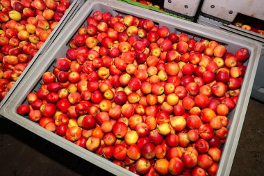 Sebze deposundaki kutularda kırmızı elmalar