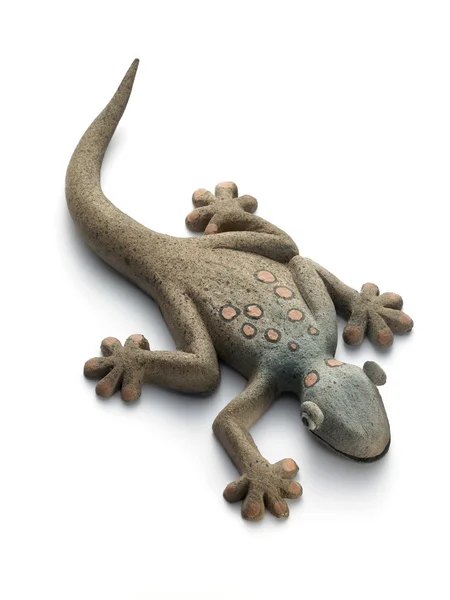 Gecko beyaz zemin üzerine