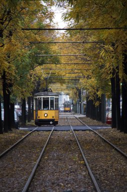 Milan sarı tramvay