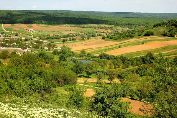 Mołdawska pola — Zdjęcie stockowe