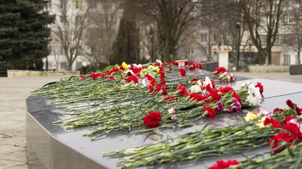 Memorial çiçekler