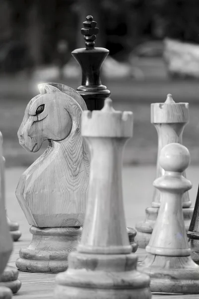 Chess pieces — Stock Photo, Image